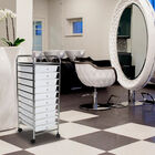 Carrito Organizador Multiusos  Blanco / Plata 10 Cajones Para Cocina