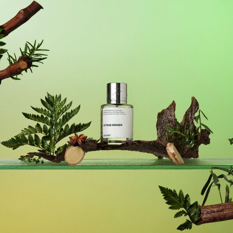 Perfume Dossier Citrus Ginger Eau De Parfum 50 ... image number null