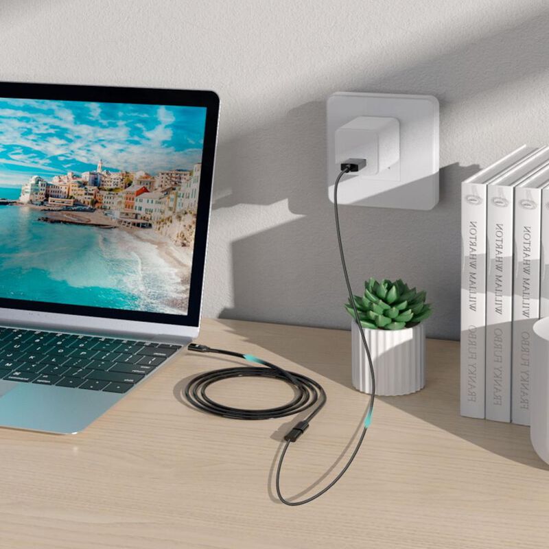 Cable Extension MYBAT USB-C Universal 1.5m image number null