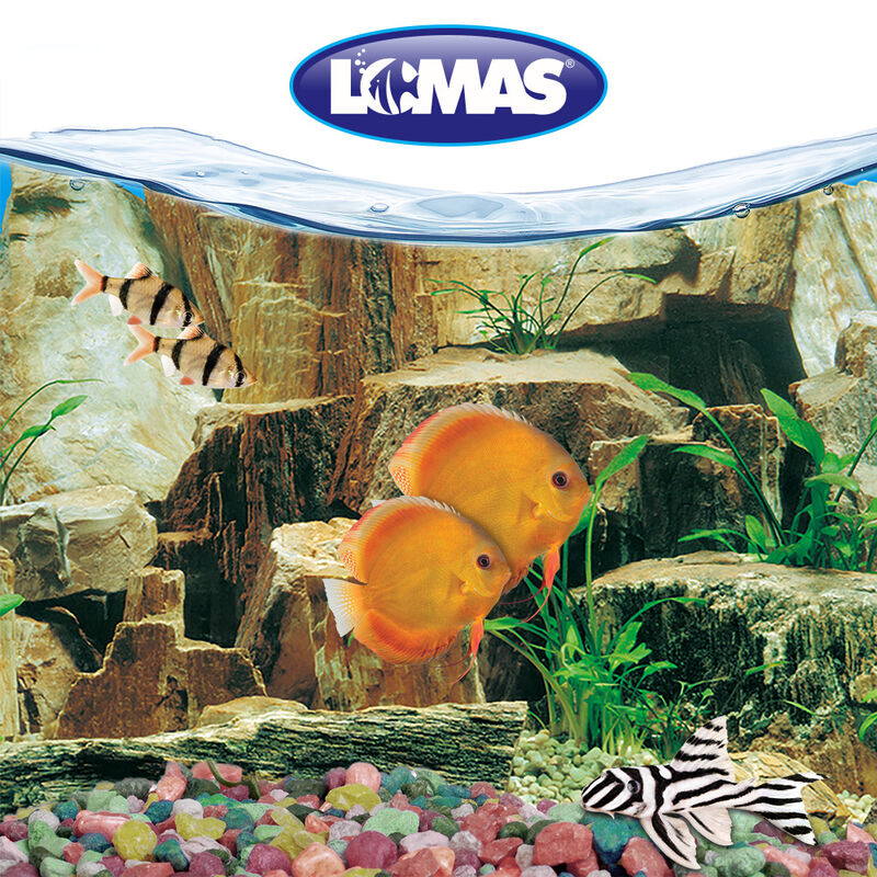 Respaldo Doble Para Acuario Vista Troncos/rocos... image number null