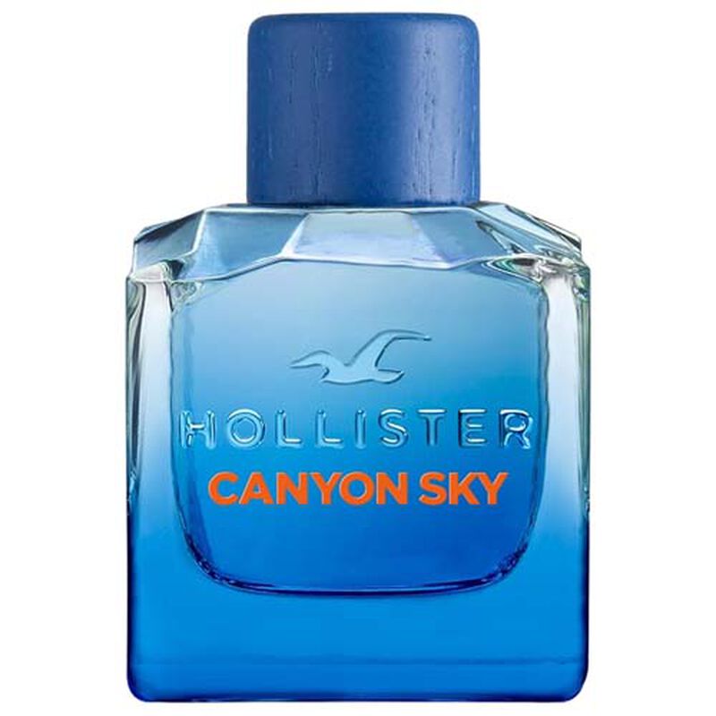 Perfume Hollister Canyon Sky For Him Edt 100 Ml... image number null