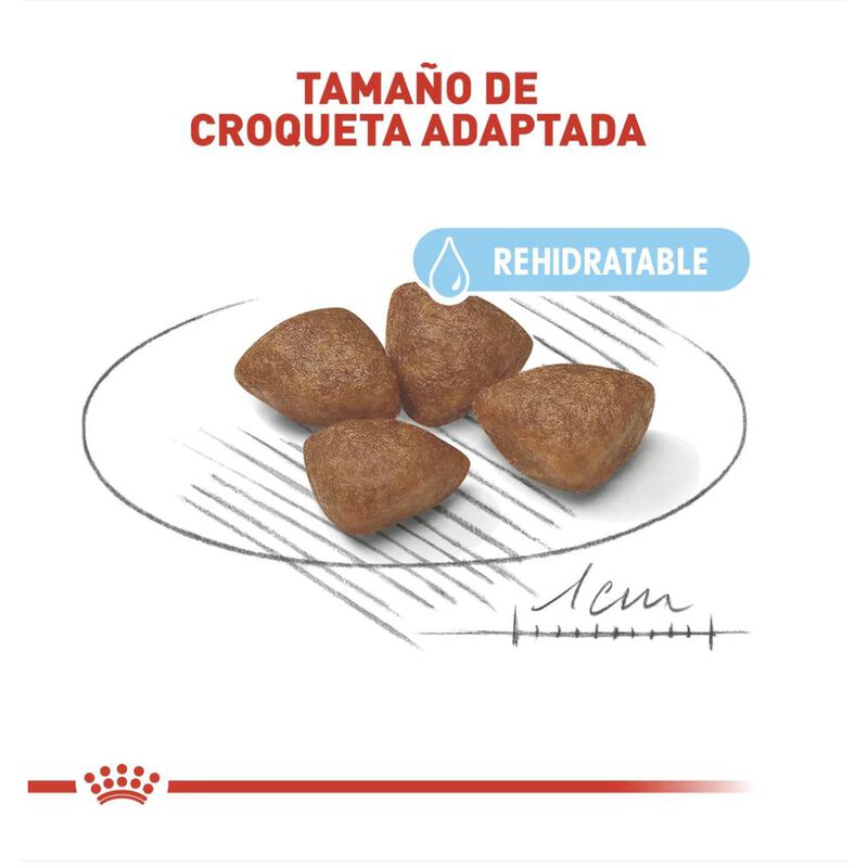 Royal Canin Small Starter Mother & Baby 1.14 Kg image number null