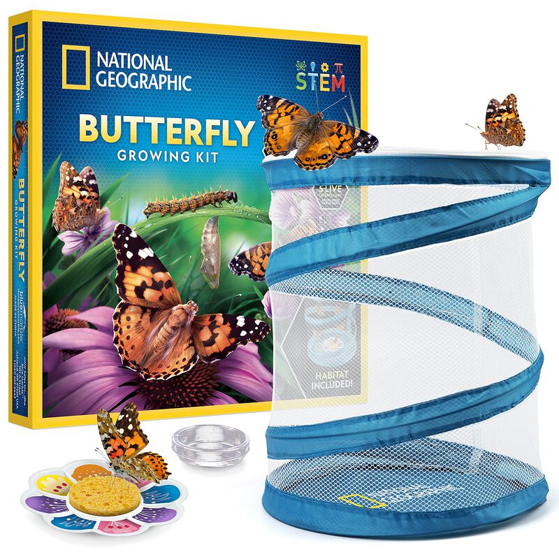 Kit De Cultivo De Mariposas National Geographic... image number null