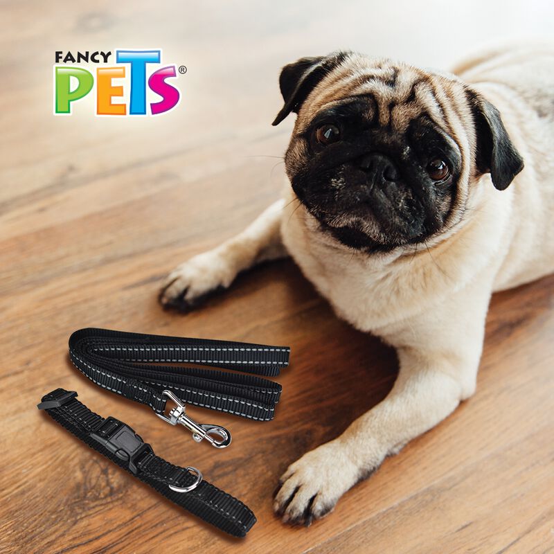 Fancy Pets Correa Con Collar De Nylon Para Perr... image number null