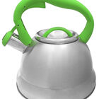 Tetera Acero Inoxidable Mr Wallace 3 Litros Verde