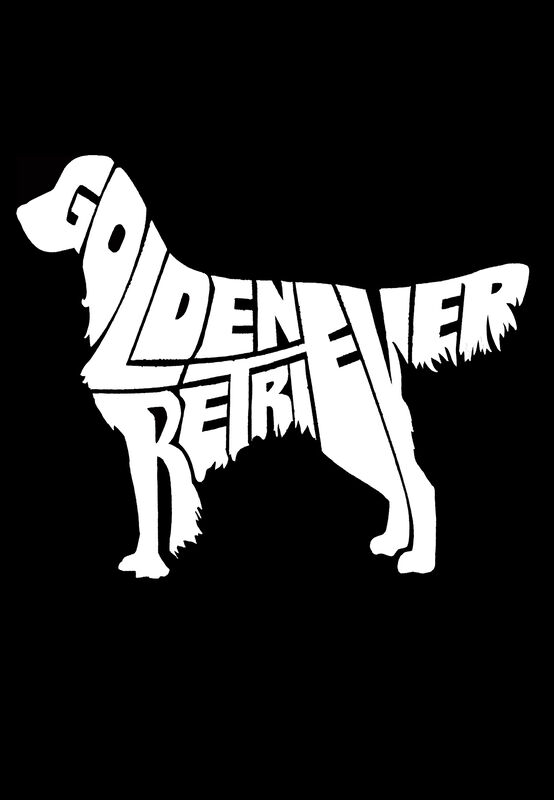 Sudadera Con Capucha Word Art Para Ni&ntilde;a - Golde... image number null