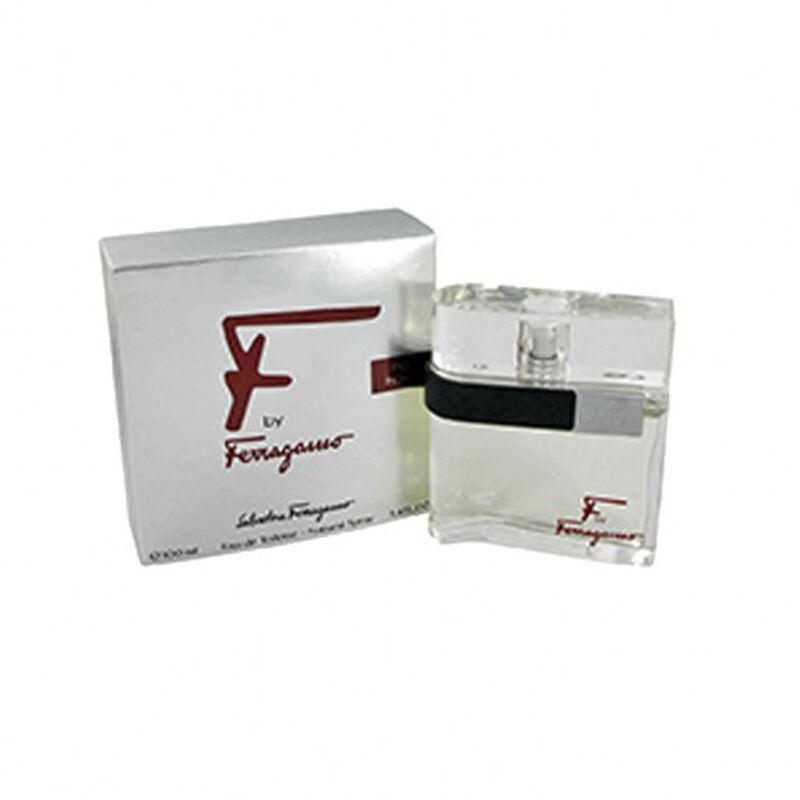 Perfume Caballero Salvatore Ferragamo F 100ml image number null