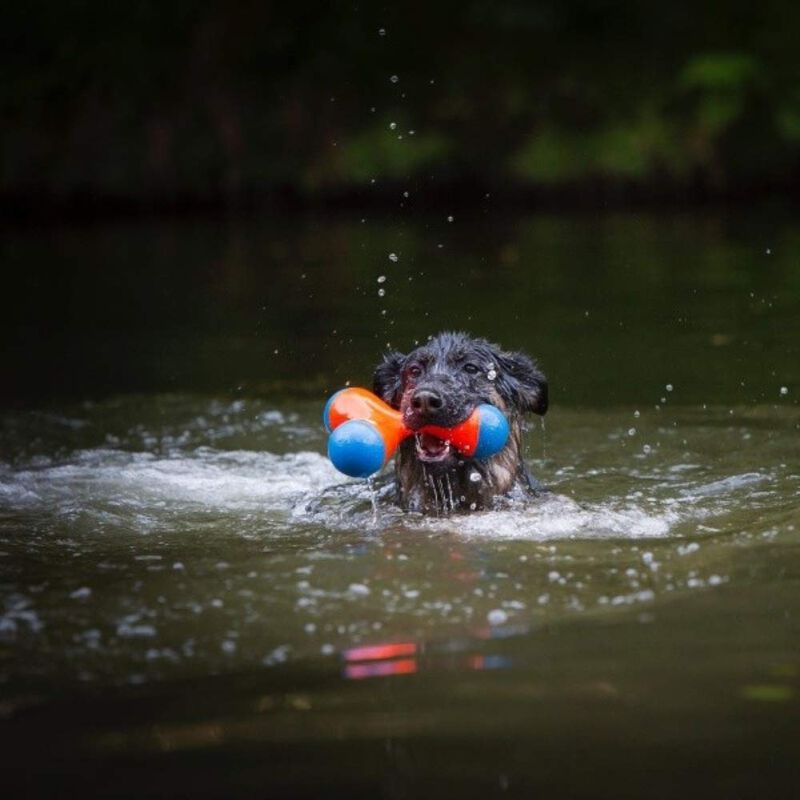 Juguete Para Perros Chuckit! Amphibious Tri-bum... image number null