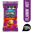 KACANG FLAMIN HOT 100GR