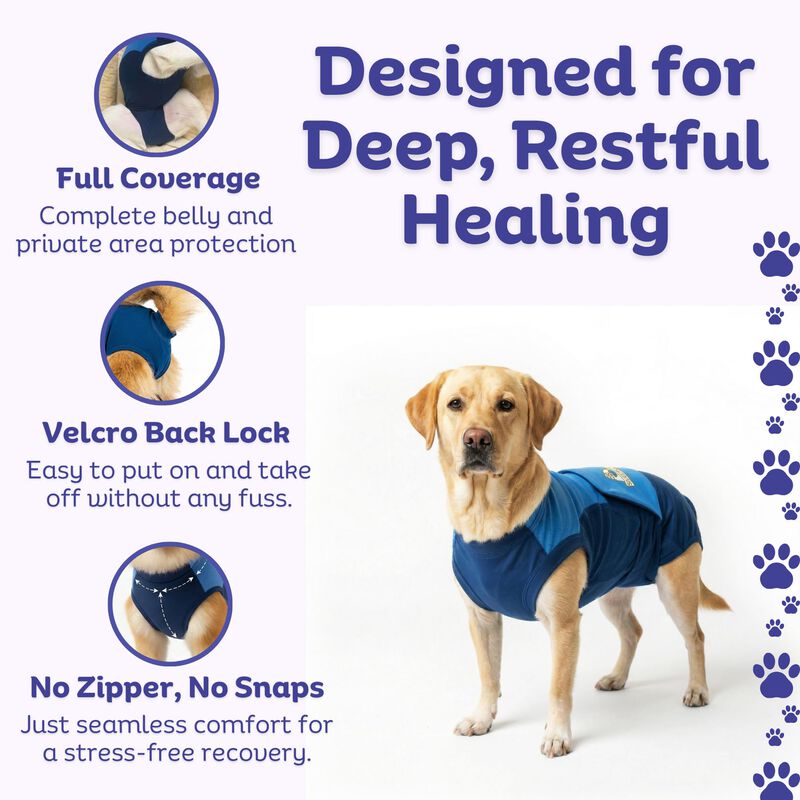 Traje De Recuperaci&oacute;n Para Perro Surgi~snuggly ... image number null
