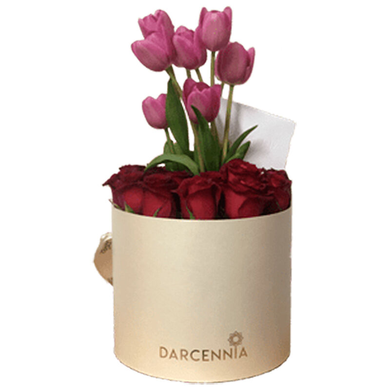 Special Delux Box image number null