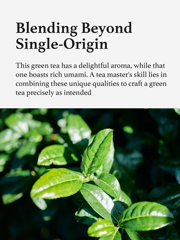 Matcha En Polvo Kyohayashiya Wakamatsu Grado Ce... image number null