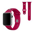 Correa para Apple Watch Soar San Francisco 49ers 42mm