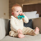 Mm Mordedera Elefante