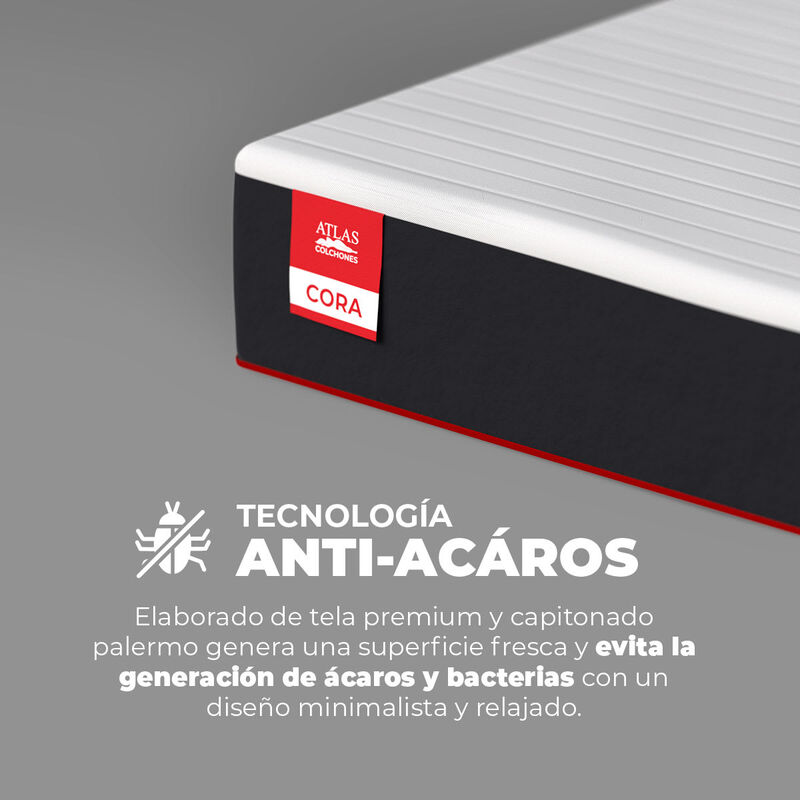 Colchon De Caja Matrimonial Atlas Cora image number null