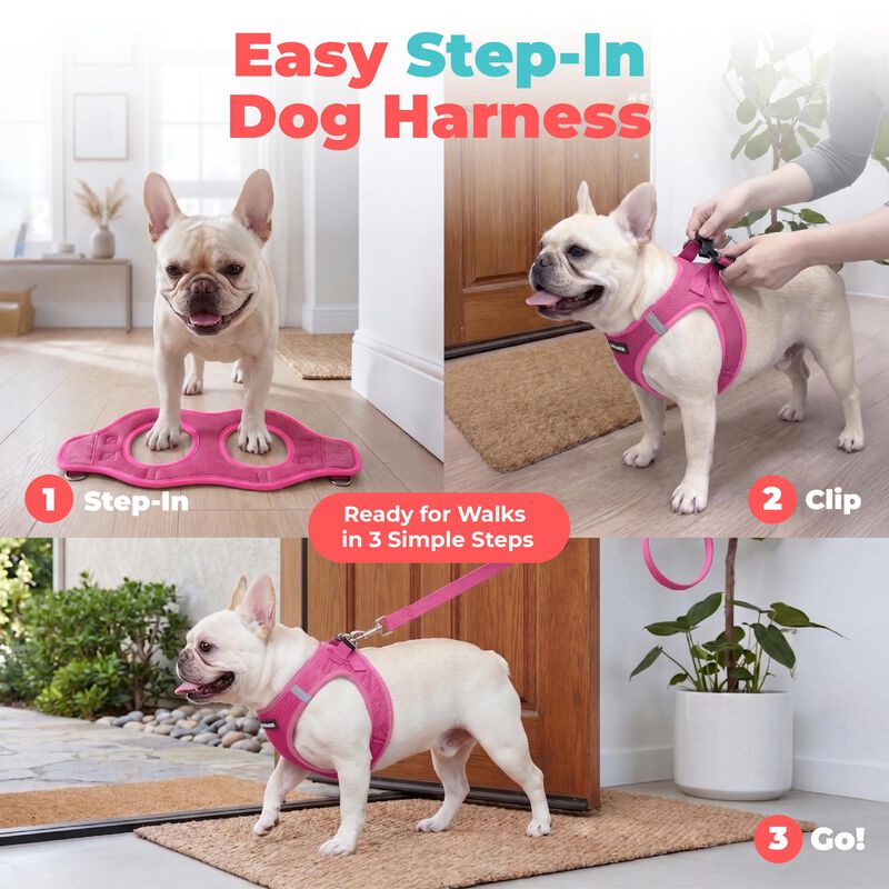 Arn&eacute;s Para Perro Best Pet Supplies Xxx-peque&ntilde;o ... image number null
