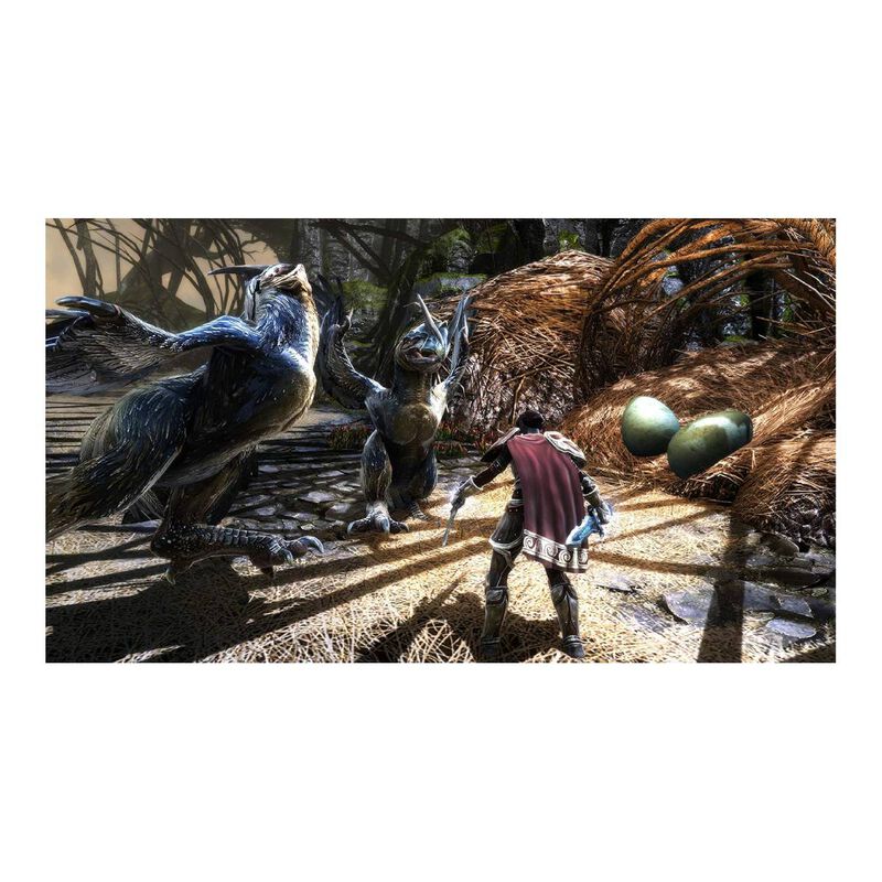 Juego Kingdoms Of Amalur Re-reckoning Nintendo ... image number null