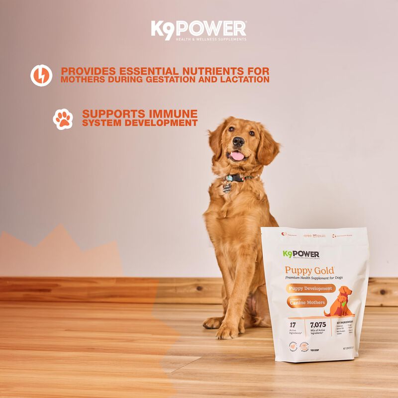 Suplemento Para Cachorros K9 Power 1,3 kg Gold ... image number null