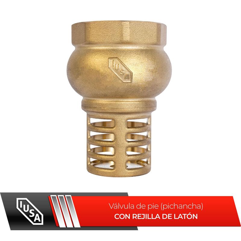 V&aacute;lvula De Pie (pichancha) Con Rejilla De Lat&oacute;n... image number null