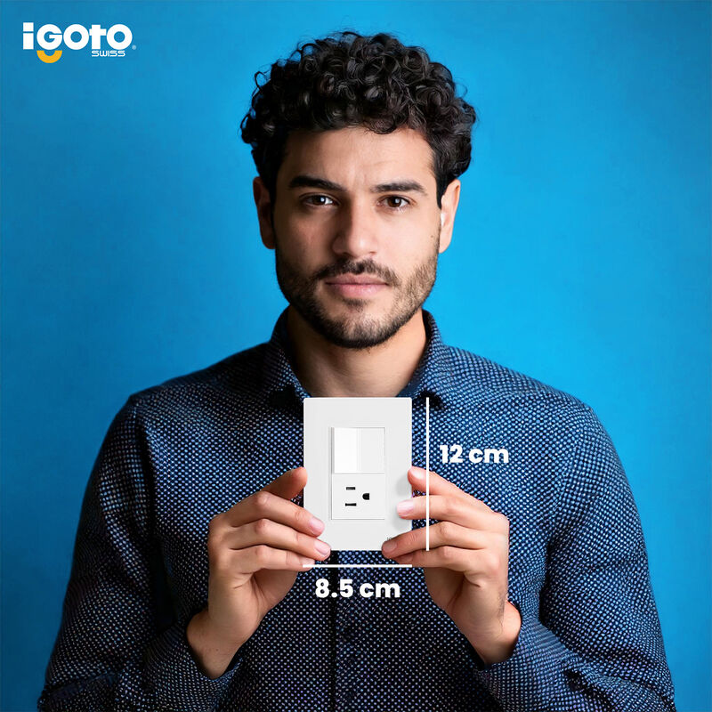 Placa Armada Cristal IGOTO CRI1001-2001 con con... image number null