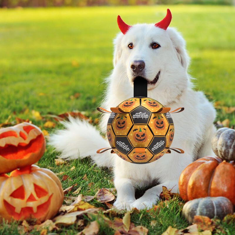 Pelota De F&uacute;tbol Qdan De Juguete Para Perros De... image number null