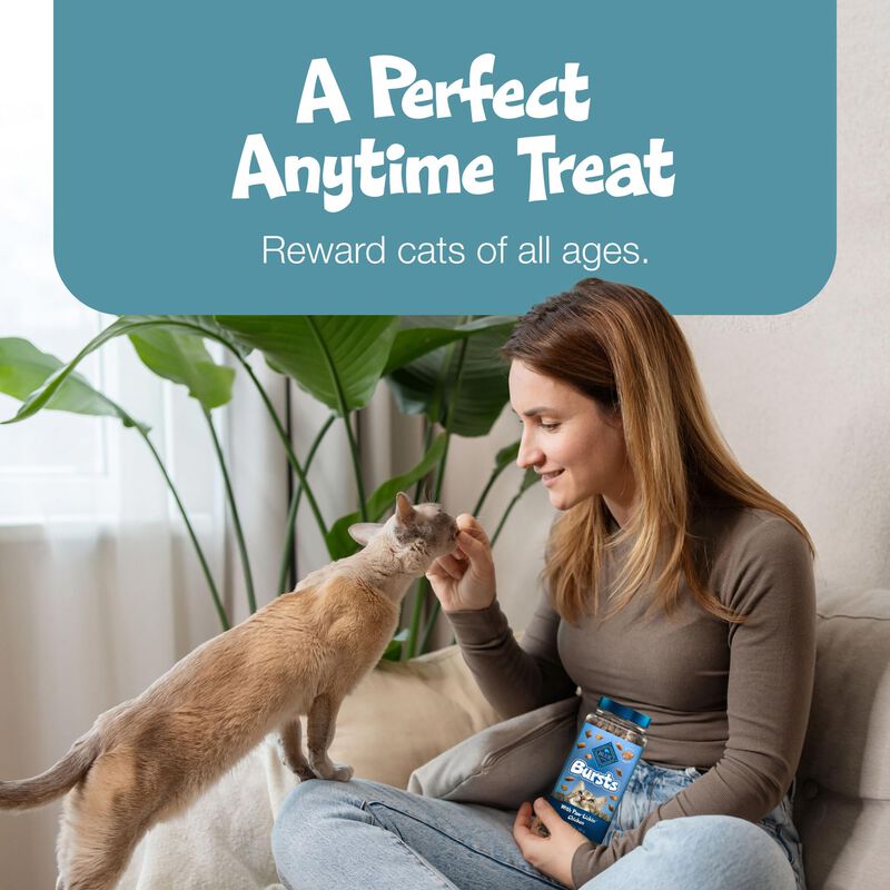 Cat Treats Blue Buffalo Bursts, Mariscos Crujie... image number null