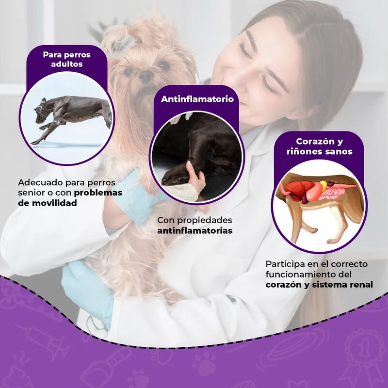 Medical Solutions. Suplemento Complete Mobility... image number null