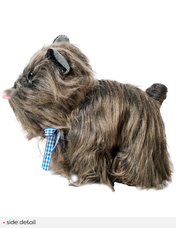 Accesorio De Disfraz Rubie's Wizard Of Oz Dorot... image number null