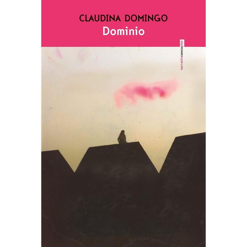 Domino image number null