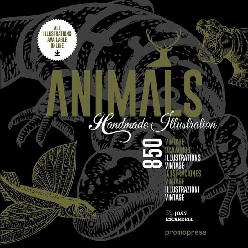 Animals Handmade Illustration, De Joan Escandel... image number null