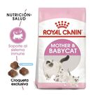 Royal Canin Mother & Babycat 1.37 Kg Original Sellado mas Pelota Spiny Caucho