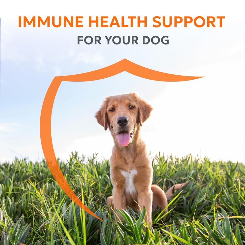 Suplemento Nutramax Imuquin Immune Health Para ... image number null