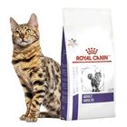 Royal Canin Adult Feline 10 Kg Original Sellado mas Pelota Spiny Caucho