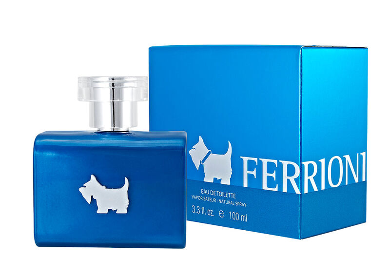 Perfume de Hombre Ferrioni Terrier Blue 100 Ml ... image number null