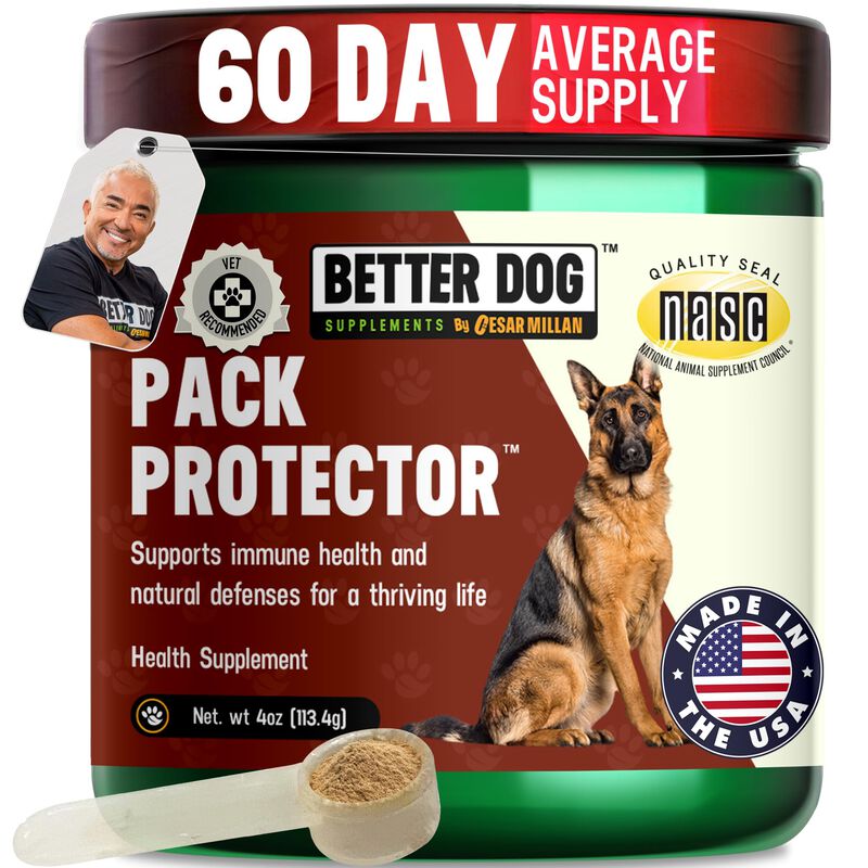 Suplemento Para Perros Better Dog 113 g Apoyo I... image number null