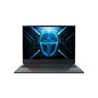 Laptop Thunderobot Radiant 16 I9-13900hx Rtx5060 16gb 1tb Negro