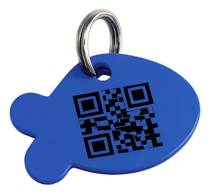 Placa Mascota Qriosa Pez Azul Rey image number null