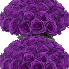 Rosas De Seda Lcuasc 50 Piezas Color P&uacute;rpura 46 Cm A Granel