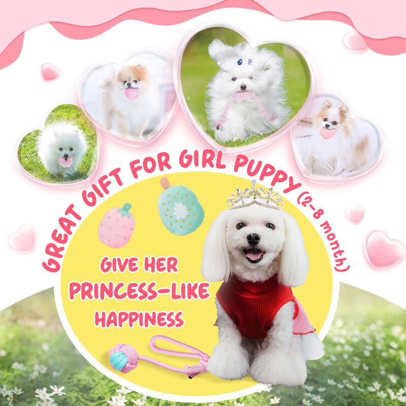 Puppy Toys Xiugoal, Rosa, Para La Dentici&oacute;n, Co... image number null