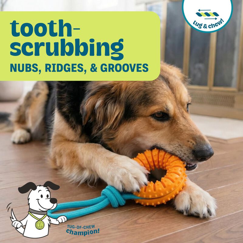 Rueda Dental Para Perro Pupstages 24 cm Con Aro... image number null