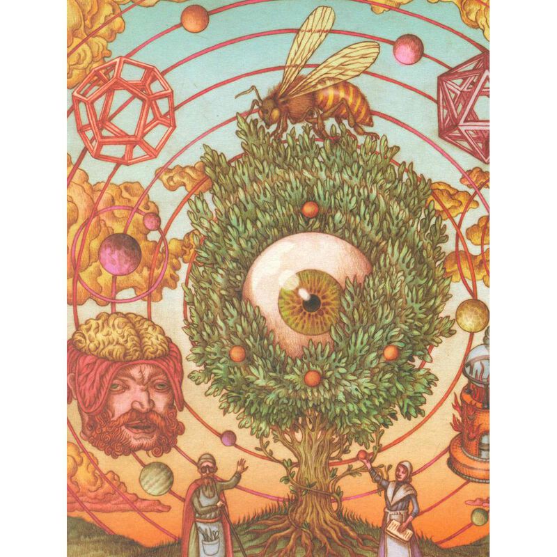 Los Procesos Contra Las Brujas image number null