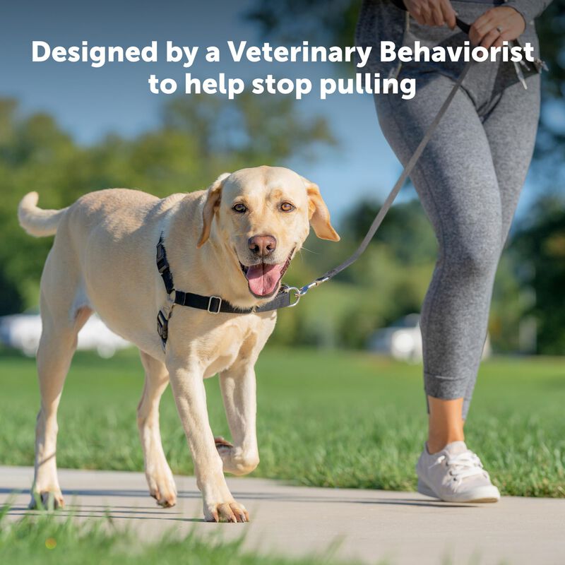 Arn&eacute;s Para Perros Petsafe Easy Walk No-pull, Ta... image number null