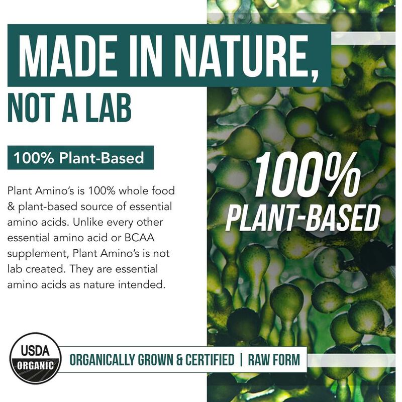 Plant Amino&aacute;cidos esenciales org&aacute;nicos (EAA) y ... image number null