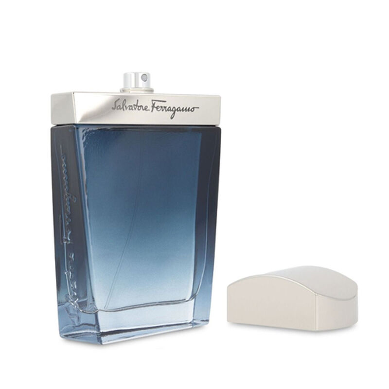 Perfume Salvatore Ferragamo Subtil  Edt 100 Ml ... image number null