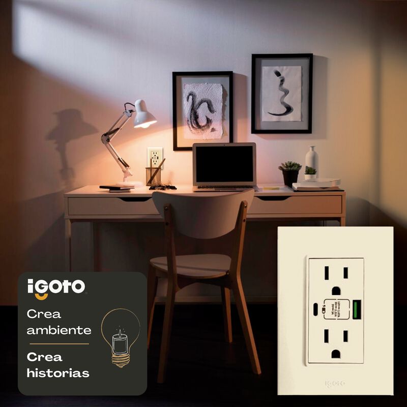 Placa con Contacto Duplex + USB+ USBC Marfil Ig... image number null