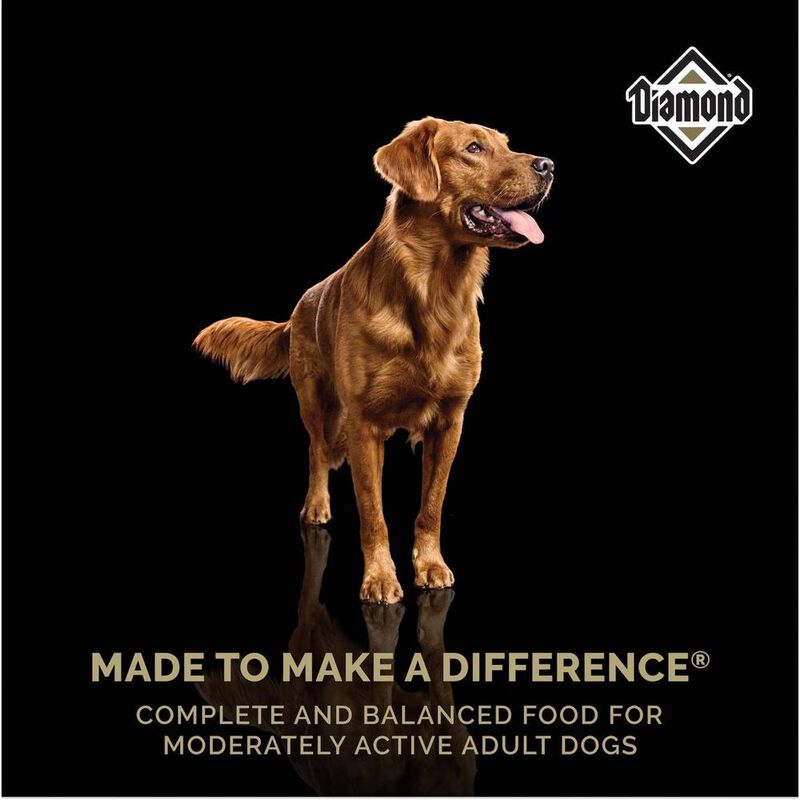 Diamondsuper Premium 18.14 Kg image number null