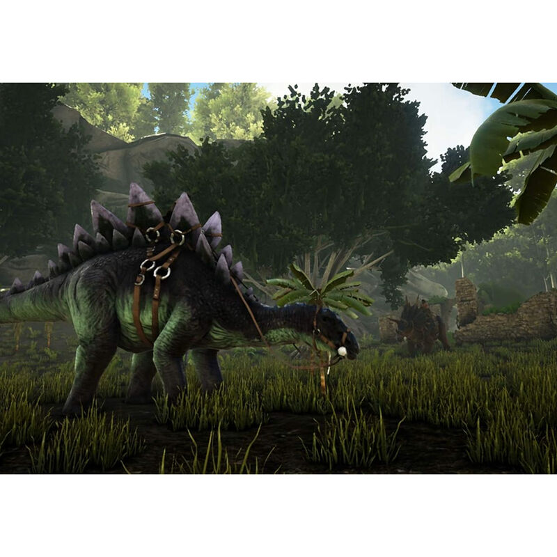 Nintendo Switch Juego ARK Survival Evolved image number null