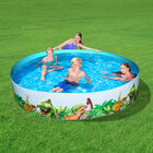 Alberca R&iacute;gida Redonda Decorada Dinosaurios 2.44X46cm 96X18Pulg Caja 1