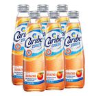 Caribe Cooler Sabor Durazno Six Pack 300 ml