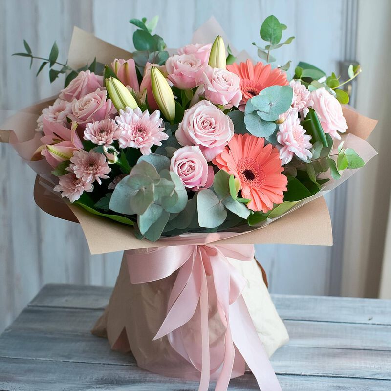 Dreamy Colour Premium image number null